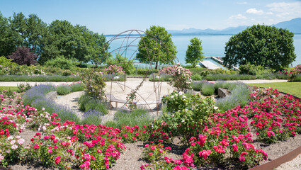 idyllic park landscape with roses, spa garden Gstadt, lake chiemsee and alps view
