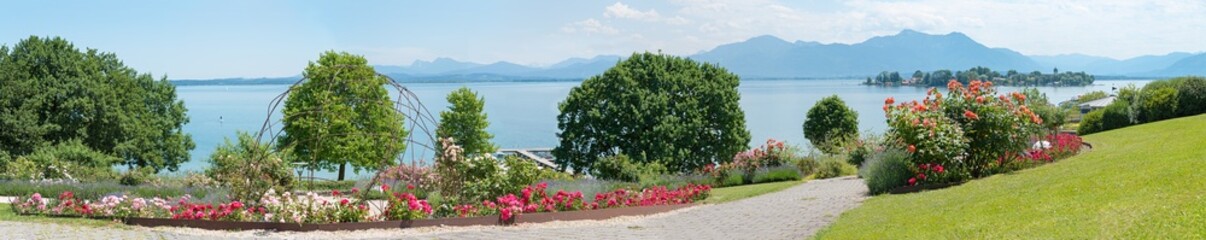 idyllic park landscape with roses, spa garden Gstadt, lake chiemsee and alps view