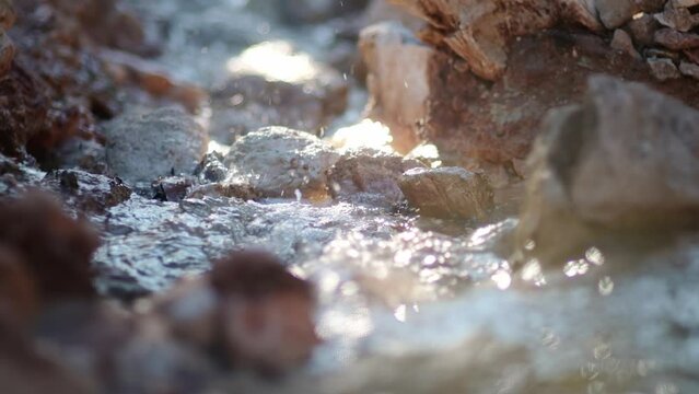 Close-up video of the purest transparent water in a mountain river flowing among the stones. Details of a sunny day in the mountains. Pure still clean water in a mountain spring