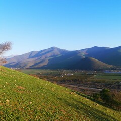 postal de primavera en el sector la Canela, longotoma