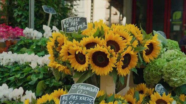 Beautiful bouquets of sunflowers at a street market in Paris
