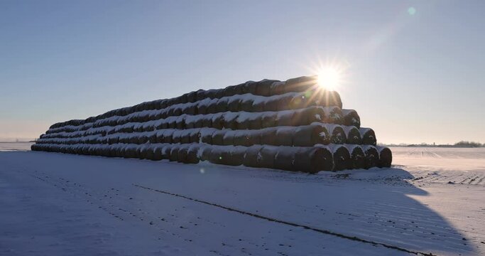 snow-covered straw stacks , winter landscape with straw in stacks after a snowfall, sunny weather