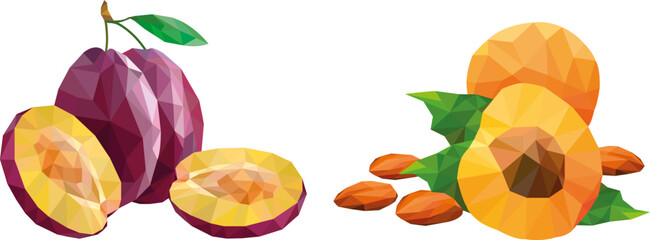Plum and apricot fruits. Fruits drawn in low poly  style