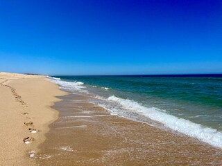 Blue seascape, sandy sea coastline, empty wild beach, pure blue sky, sea horizon