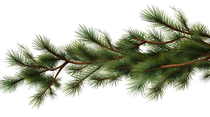 Green Christmas Tree Branches Border on Transparent Background