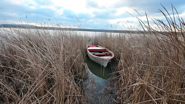 Boat on the lake in winter. Wooden old white boat dinghy among the reeds in winter by the lake. Igneada national park, Mert Lake in Winter. Turkey. 2024. Dinghy rests at anchor in quiet water.
