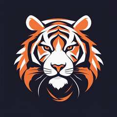 Fototapeta premium head of tiger