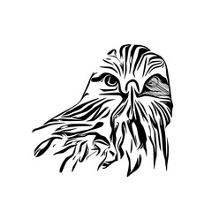 black and white sketch of an eagle's head with a transparent background for elements for making logos and symbols