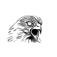 black and white sketch of an eagle's head with a transparent background for elements for making logos and symbols