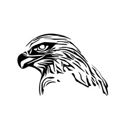 black and white sketch of an eagle's head with a transparent background for elements for making logos and symbols