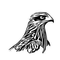black and white sketch of an eagle's head with a transparent background for elements for making logos and symbols