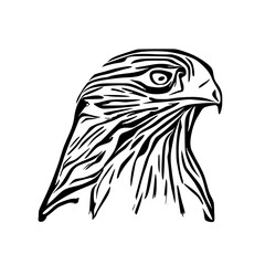 black and white sketch of an eagle's head with a transparent background for elements for making logos and symbols