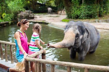 Kids feed elephant in zoo. Family at animal park.
