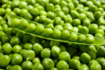 An open pod of fresh green peas lies on pea grains, top view. Background of sweet green peas.