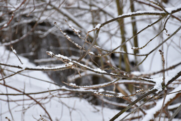 Snow covered tree branches against background of dark stream. Water reflections, white snow drifts on brook bank. Winter landscape, scenic view, cold weather.