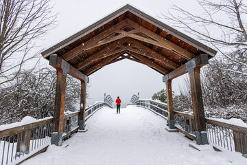 wooden bridge in the park