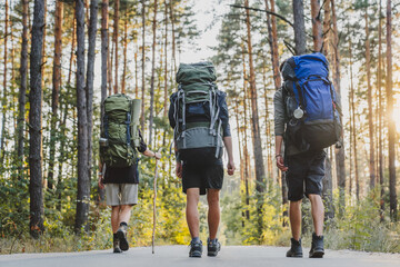 Back view of friends traveling in forest in sunny day with backpacks. Camping outdoor. Adventurers...