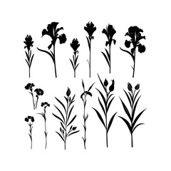 Iris flower black silhouette. Attractive tulips, narcissus, iris flower art, and vector illustration