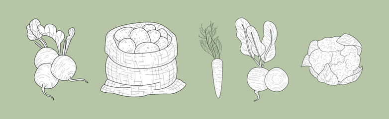 Harvest with Ripe and Mature Crop Sketch Hand Drawn Vector Set