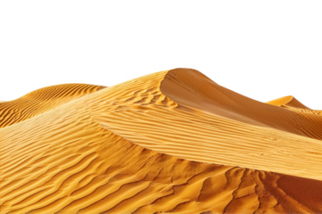 Desert Dune Isolated On Transparent Background. PNG. Sand Of Golden Dunes Isolated on a Transparent Backdrop