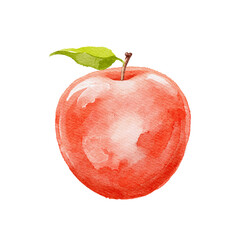Red bright apple isolated on white background. Watercolor hand drawn illustration sketch