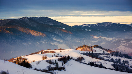 carpathian countryside with snow covered hills in morning light. beauty of ukrainian rural...
