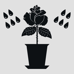 Rose icon with drops of water in a pot. Black silhouette. Icon. Vector on grey background