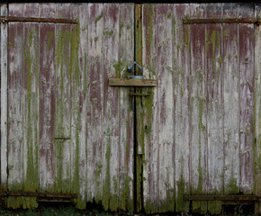 Background or texture of old barn door. 