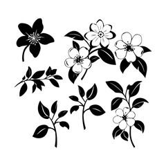 Jasmine flower black silhouette. Attractive tulips, jasmines, iris flower art vector illustration