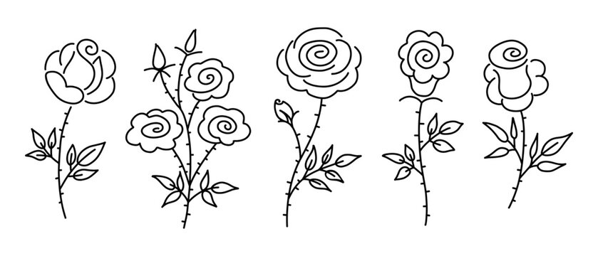 Set of hand drawn rose flowers. Vector black line illustration collection isolated on white background.
