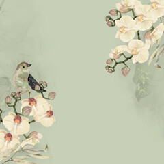 BIRD AND ORCHID WITH WATERCOLOR VECTOR