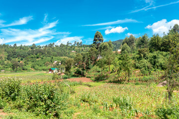 The Usambara Mountains in Lushoto Tanzania