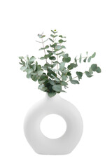 Green eucalyptus leaves in a vase isolated on a white background. Aromatherapy.Beautiful eucalyptus...
