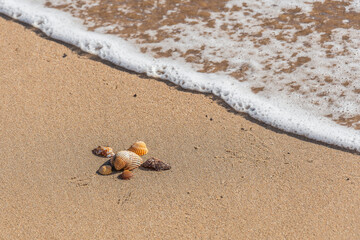 Land art au bord de la mer