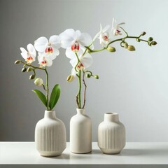  White orchid flower and palm leaves in vases on table top, front view composition with copy space
