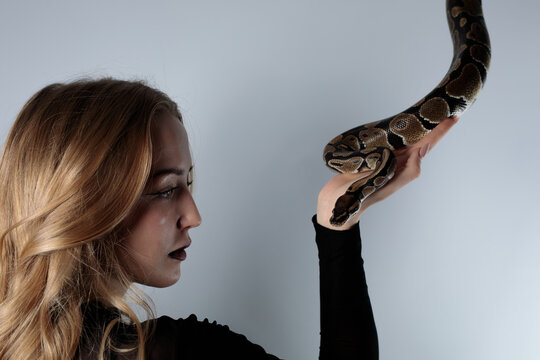 python snake plays with a young blond woman