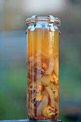 Sol eggs from quails in a preserving jar