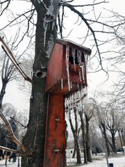 Bird house in winter on an old tree