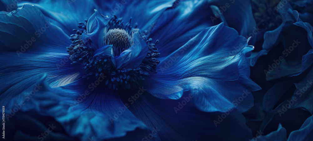 Poster a close-up photograph showcasing the beauty of a large blue flower. this picture can be used to add 