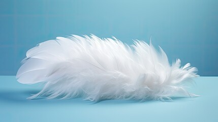 white fluffy feathers against a serene background in pale turquoise blue, creating a visually soothing composition.