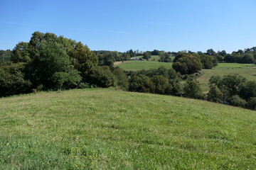 Fototapeta premium Amidst the summer season in the French countryside, rolling hills stretch as far as the eye can see, adorned with lush greenery under a vast and clear blue sky. 