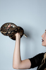 Snake python shooting on blond young woman with light effekts