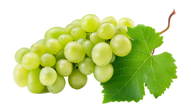 Green grape with leaves isolated on white. With clipping path. F