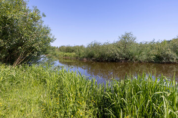 a wide river in eastern Europe, the Neman
