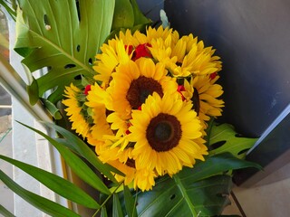 sunflowers in a vase