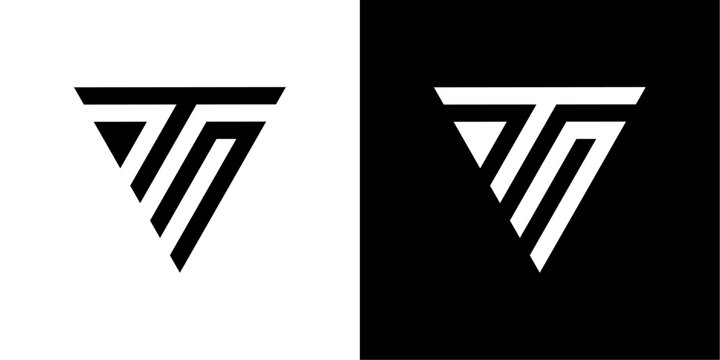 vector logo tn combination of triangles