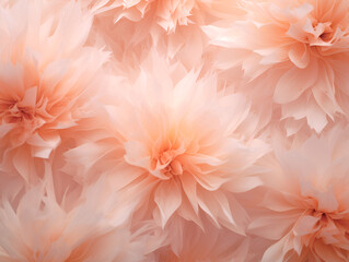 Close up pastel pink flowers, floral background 