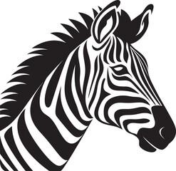 Fototapeta na wymiar Graphic Safari Zebra Vector IllustrationElegant Details Black and White Zebra Art