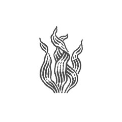 Grass, Nori algae in a hand-drawn engraving style. Vector engravings.