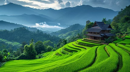 Fotobehang Green rice terrace field at Pa Pong Piang village in Chiang Mai, Thailand © Junaid